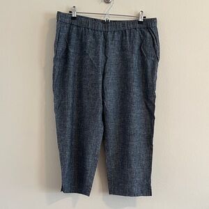 Eileen Fisher Blue Cropped Pants